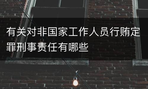 有关对非国家工作人员行贿定罪刑事责任有哪些