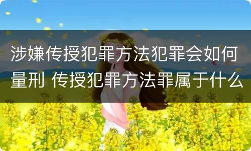 涉嫌传授犯罪方法犯罪会如何量刑 传授犯罪方法罪属于什么罪
