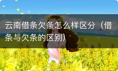 云南借条欠条怎么样区分（借条与欠条的区别）
