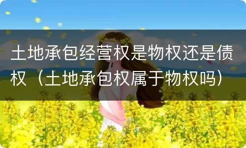 土地承包经营权是物权还是债权（土地承包权属于物权吗）