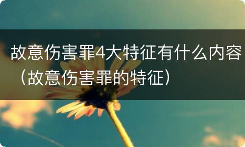 故意伤害罪4大特征有什么内容（故意伤害罪的特征）