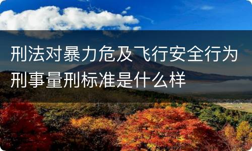 刑法对暴力危及飞行安全行为刑事量刑标准是什么样