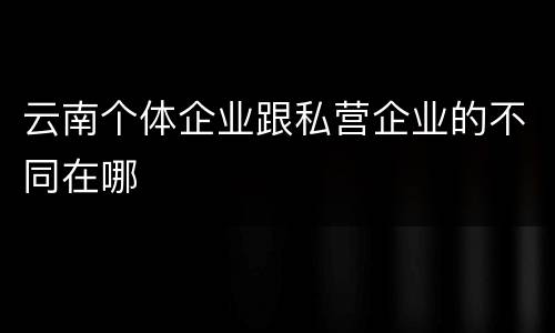 云南个体企业跟私营企业的不同在哪