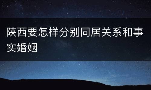 陕西要怎样分别同居关系和事实婚姻