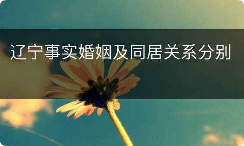 辽宁事实婚姻及同居关系分别