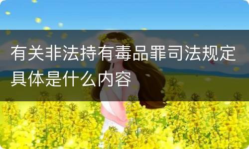 有关非法持有毒品罪司法规定具体是什么内容