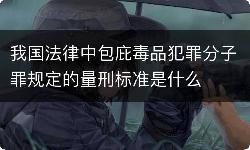 我国法律中包庇毒品犯罪分子罪规定的量刑标准是什么