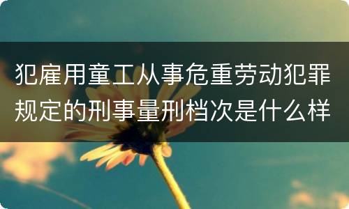 犯雇用童工从事危重劳动犯罪规定的刑事量刑档次是什么样的