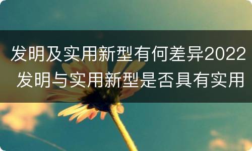 发明及实用新型有何差异2022 发明与实用新型是否具有实用性