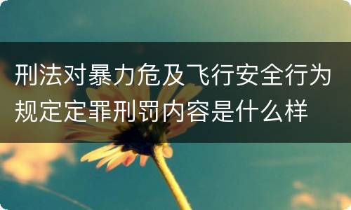 刑法对暴力危及飞行安全行为规定定罪刑罚内容是什么样