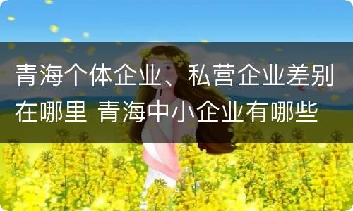 青海个体企业、私营企业差别在哪里 青海中小企业有哪些
