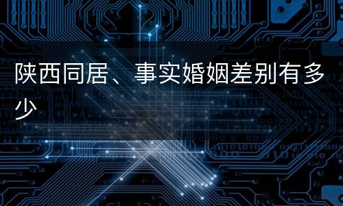 陕西同居、事实婚姻差别有多少