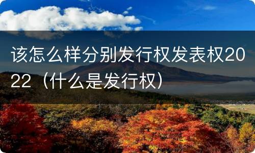 该怎么样分别发行权发表权2022（什么是发行权）