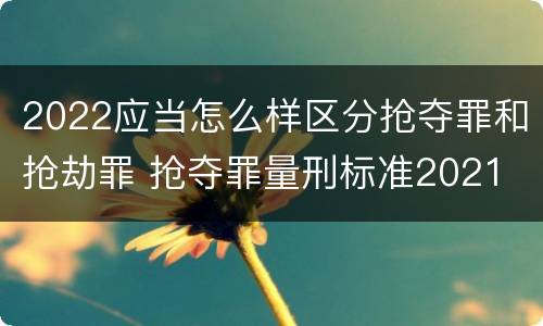 2022应当怎么样区分抢夺罪和抢劫罪 抢夺罪量刑标准2021