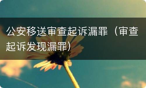 公安移送审查起诉漏罪（审查起诉发现漏罪）