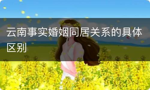 云南事实婚姻同居关系的具体区别