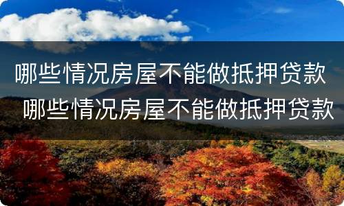 哪些情况房屋不能做抵押贷款 哪些情况房屋不能做抵押贷款业务