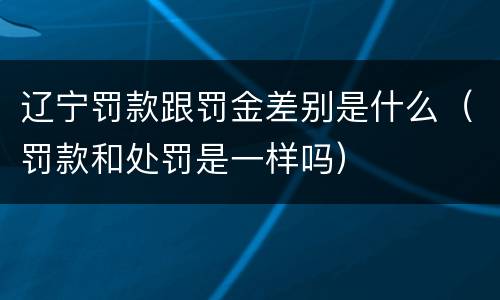 辽宁罚款跟罚金差别是什么（罚款和处罚是一样吗）