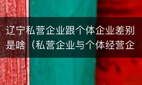 辽宁私营企业跟个体企业差别是啥（私营企业与个体经营企业的区别）