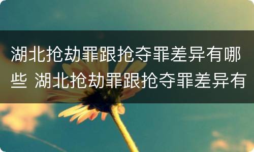 湖北抢劫罪跟抢夺罪差异有哪些 湖北抢劫罪跟抢夺罪差异有哪些案例
