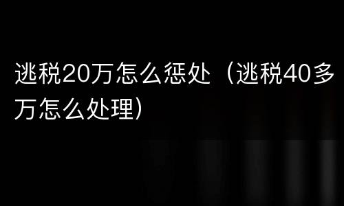 逃税20万怎么惩处（逃税40多万怎么处理）