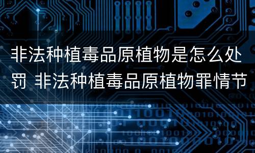 非法种植毒品原植物是怎么处罚 非法种植毒品原植物罪情节严重