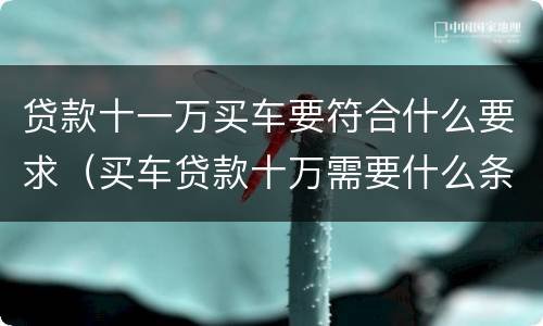 贷款十一万买车要符合什么要求（买车贷款十万需要什么条件）