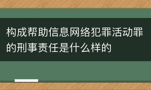 构成帮助信息网络犯罪活动罪的刑事责任是什么样的