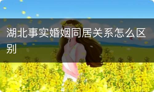 湖北事实婚姻同居关系怎么区别