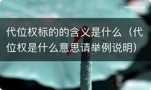 代位权标的的含义是什么（代位权是什么意思请举例说明）