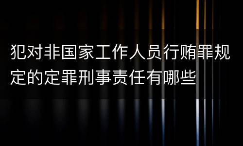 犯对非国家工作人员行贿罪规定的定罪刑事责任有哪些