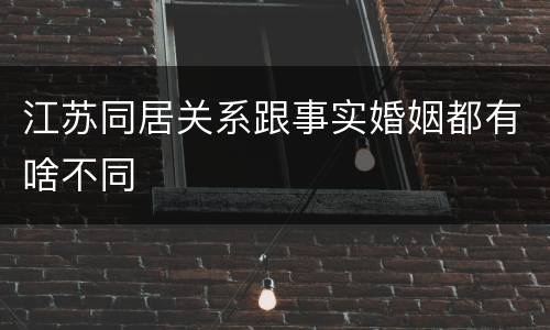 江苏同居关系跟事实婚姻都有啥不同