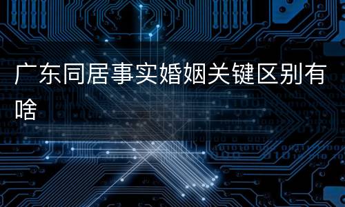 广东同居事实婚姻关键区别有啥