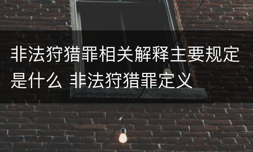 非法狩猎罪相关解释主要规定是什么 非法狩猎罪定义