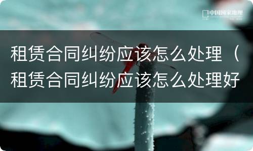 租赁合同纠纷应该怎么处理（租赁合同纠纷应该怎么处理好）