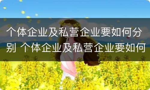个体企业及私营企业要如何分别 个体企业及私营企业要如何分别注册