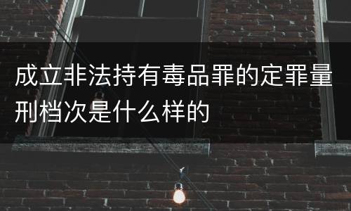 成立非法持有毒品罪的定罪量刑档次是什么样的