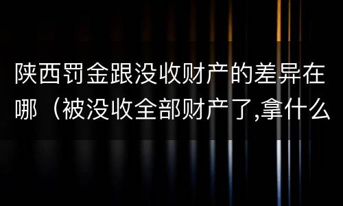 陕西罚金跟没收财产的差异在哪（被没收全部财产了,拿什么交罚金）