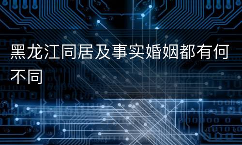 黑龙江同居及事实婚姻都有何不同