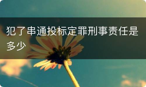 犯了串通投标定罪刑事责任是多少