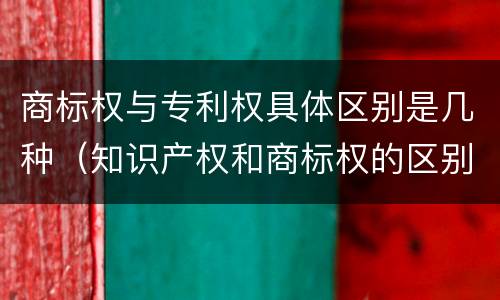 商标权与专利权具体区别是几种（知识产权和商标权的区别）