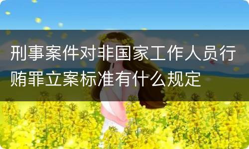 刑事案件对非国家工作人员行贿罪立案标准有什么规定