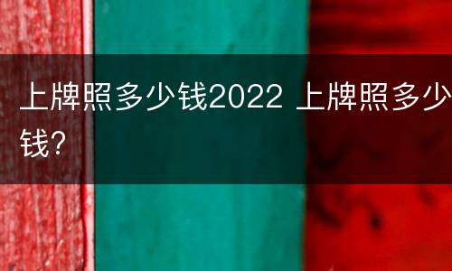 上牌照多少钱2022 上牌照多少钱?
