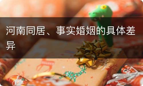 河南同居、事实婚姻的具体差异