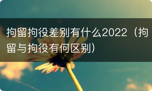 拘留拘役差别有什么2022（拘留与拘役有何区别）