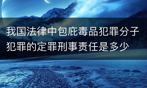 我国法律中包庇毒品犯罪分子犯罪的定罪刑事责任是多少
