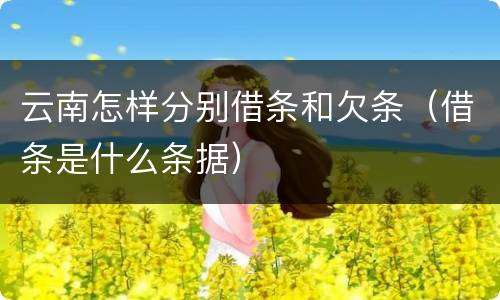 云南怎样分别借条和欠条（借条是什么条据）