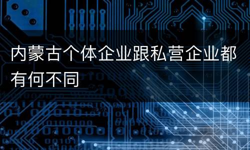 内蒙古个体企业跟私营企业都有何不同