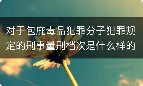对于包庇毒品犯罪分子犯罪规定的刑事量刑档次是什么样的