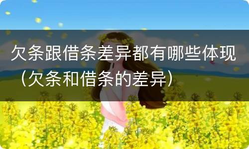 欠条跟借条差异都有哪些体现（欠条和借条的差异）